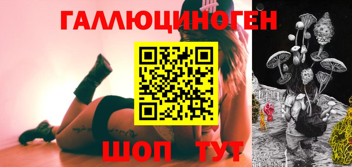 Псилоцибиновые грибы прущие грибы  Вход с VPN  Протвино 