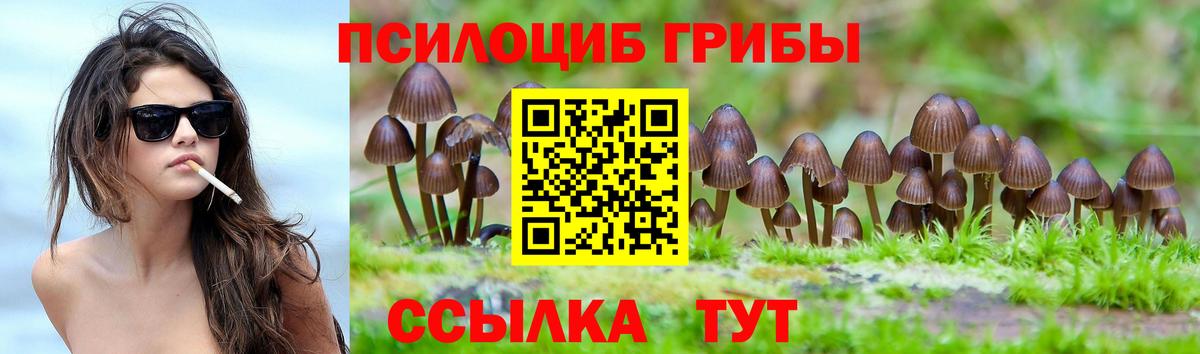 Галлюциногенные грибы прущие грибы Протвино